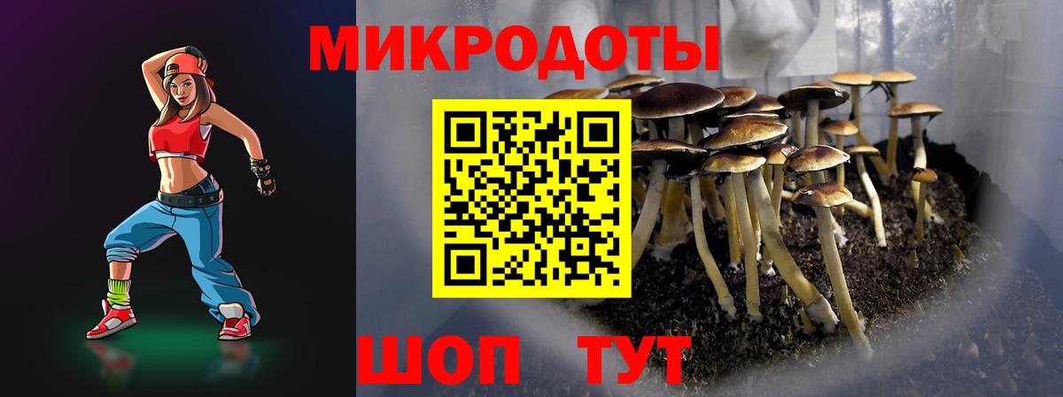 Галлюциногенные грибы Psilocybe Симферополь